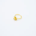 ANILLO