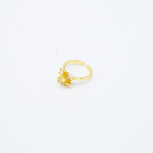 ANILLO