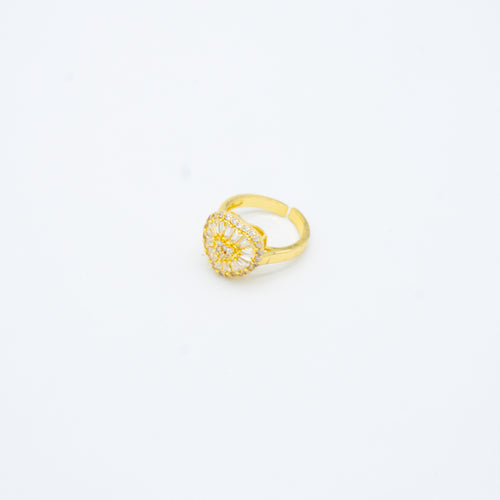 ANILLO