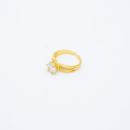 ANILLO