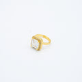 ANILLO