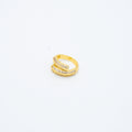 ANILLO