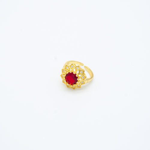 ANILLO