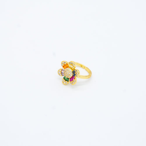 ANILLO