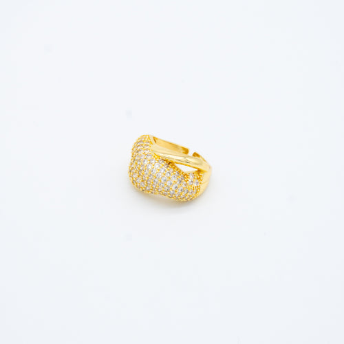 ANILLO