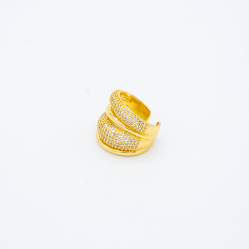 ANILLO
