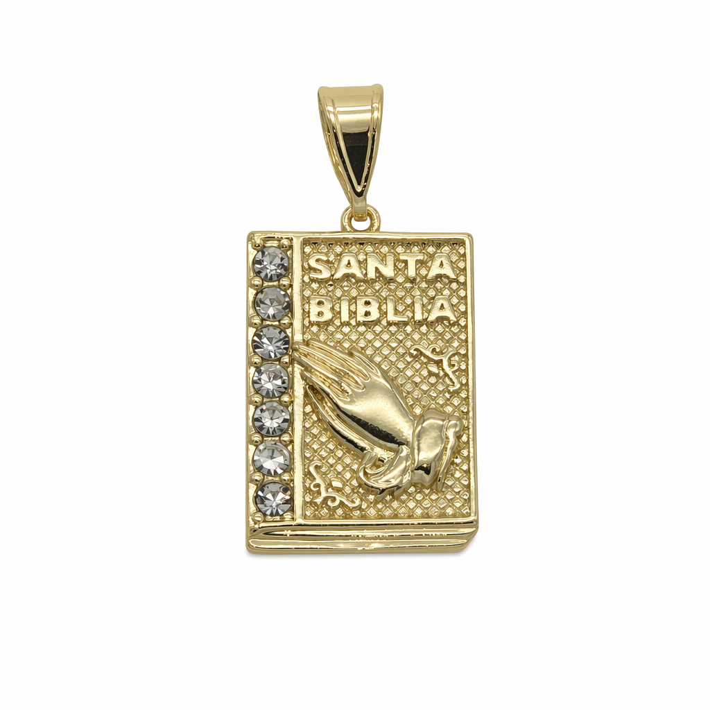 VITORYA IA | 12512300-DIJ | LIMPIA