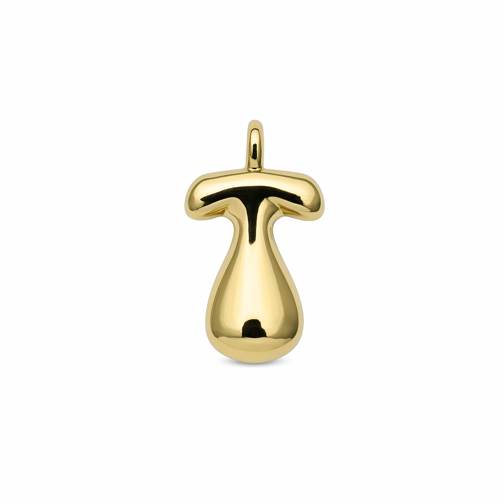 VITORYA IA | 13912447-DIJ | LIMPIA